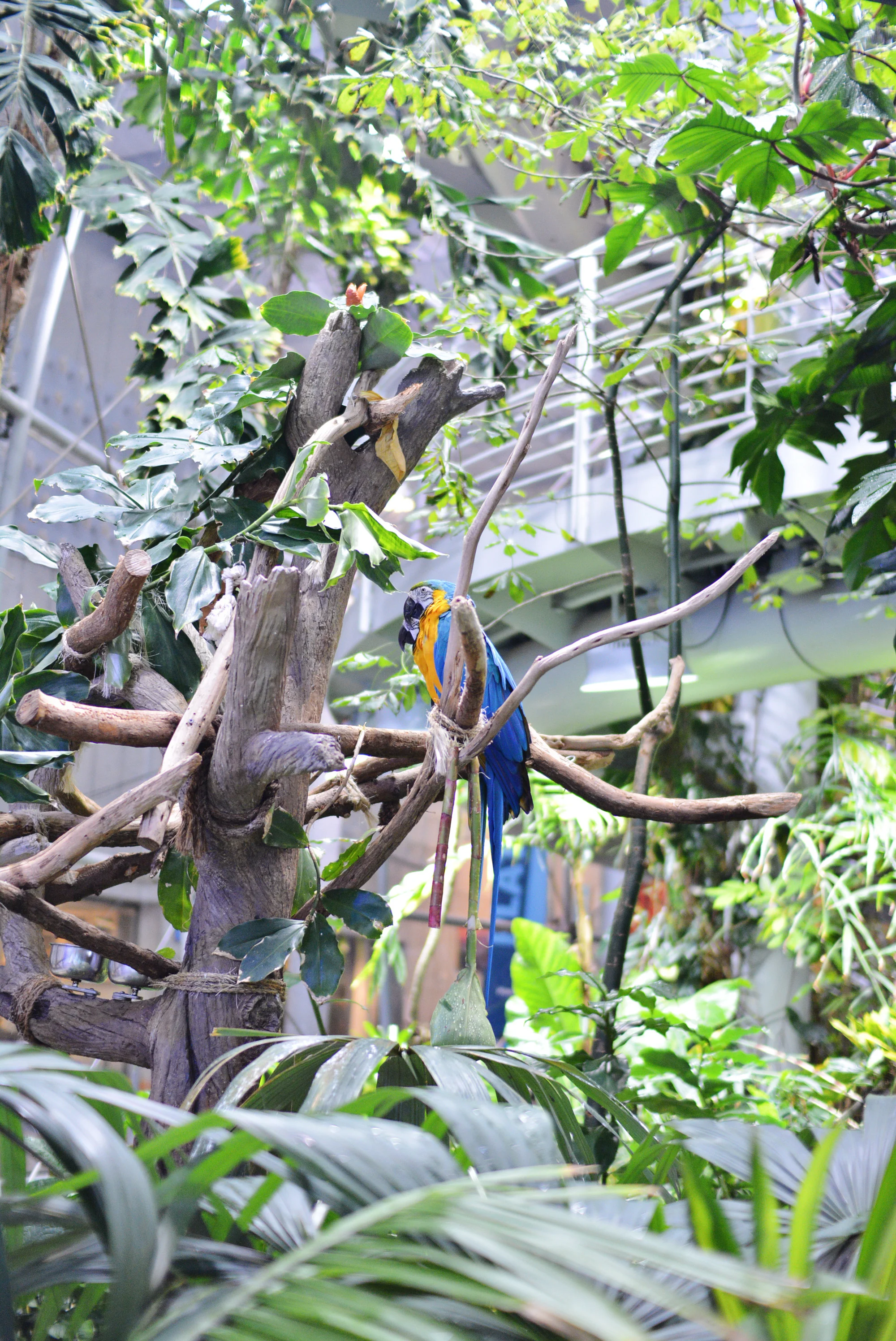 DSC_1736.jpg
