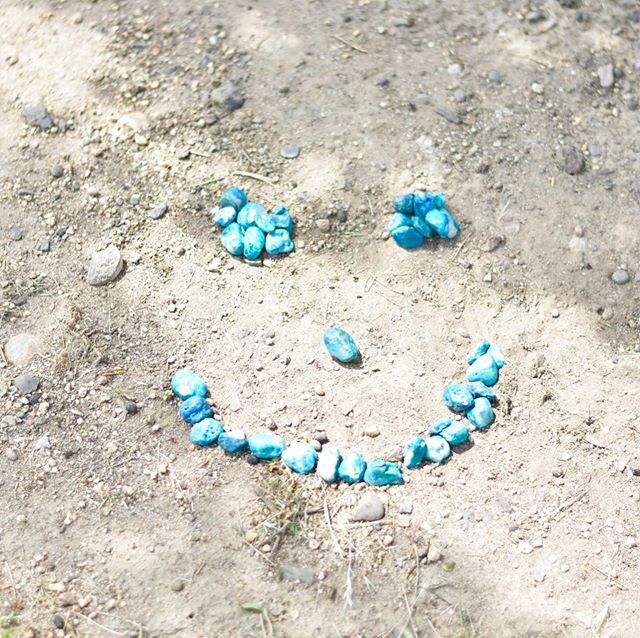 The other day we went to our local walking trail and used rocks that Atlas painted to make happy faces along the trail. It&rsquo;s our way to #spreadasmile to hopefully make others smile while walking. Also, I hear it&rsquo;s #earthweek and this is m