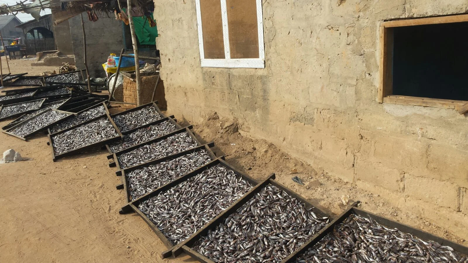 WhatsApp Image 2018-01-11 at 11.32.52 (1).jpeg