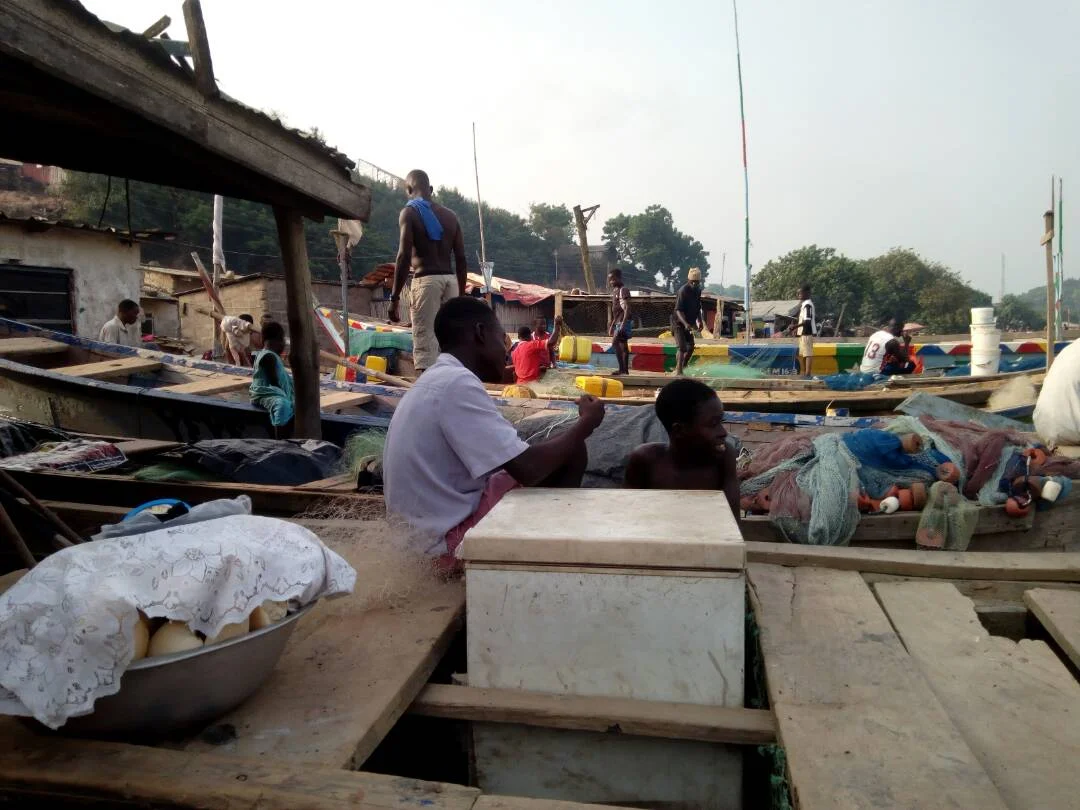 WhatsApp Image 2018-01-11 at 10.49.22.jpeg