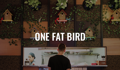 One+Fat+Bird.png