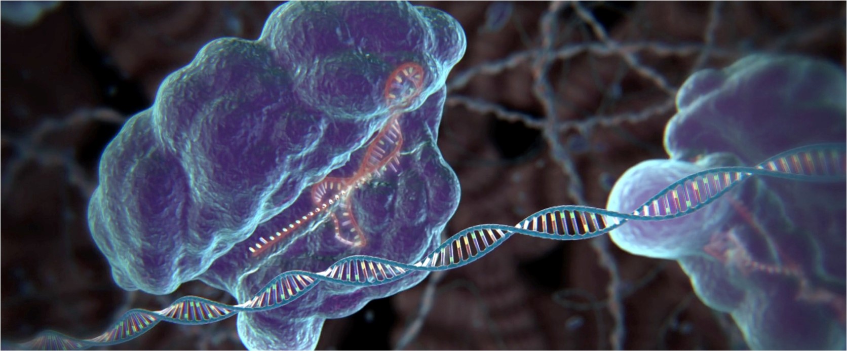 CRISPR.jpg