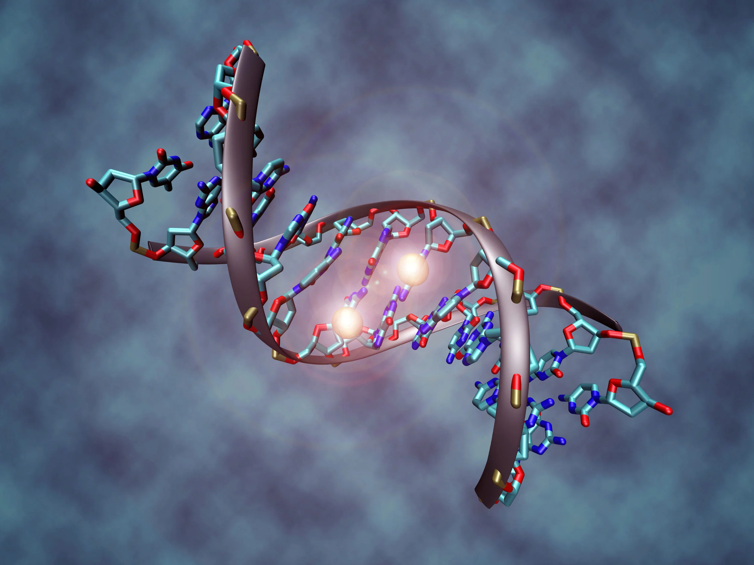 DNA_methylation.jpg