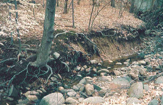 Before Erosion Control