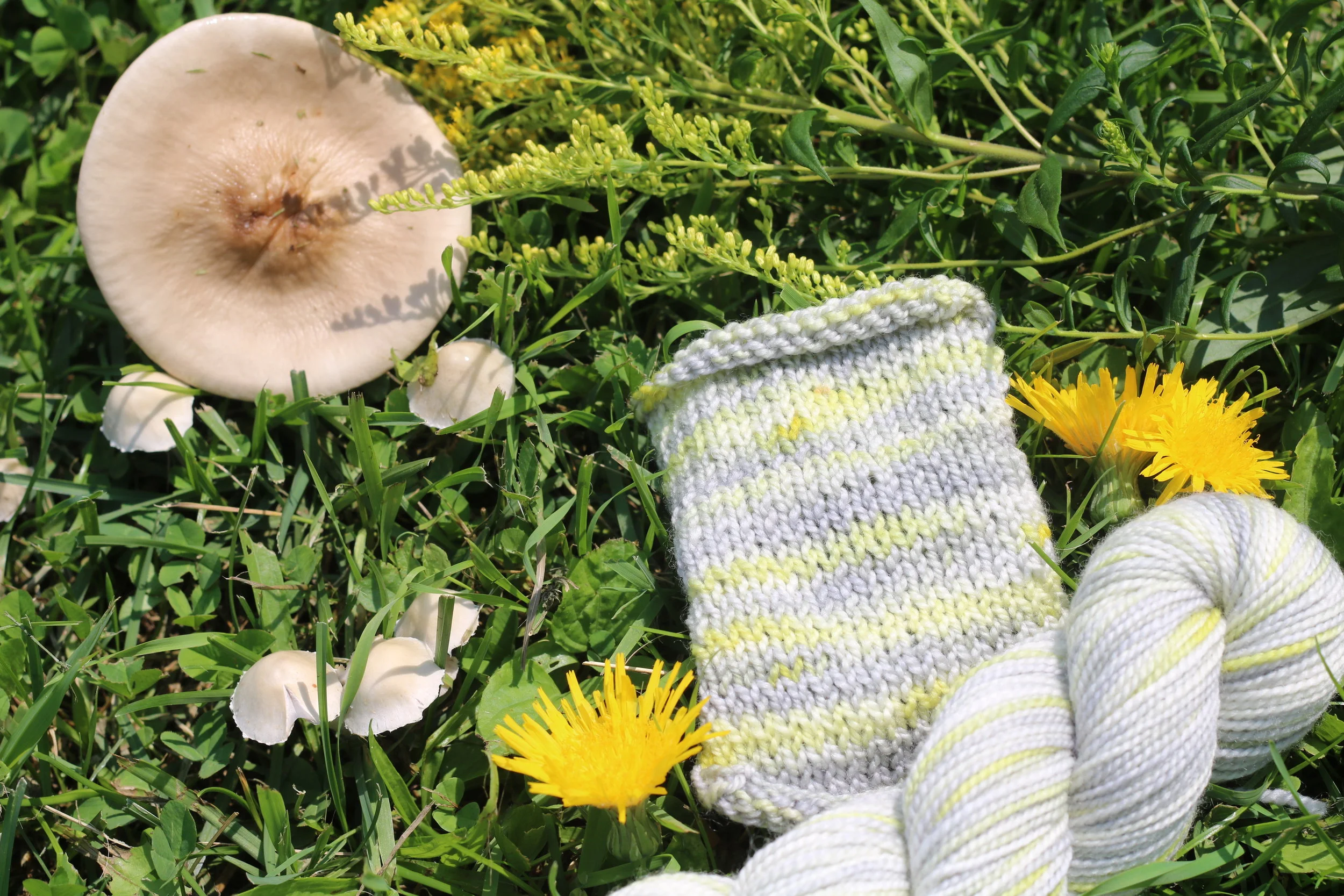 Colourways Inspirations