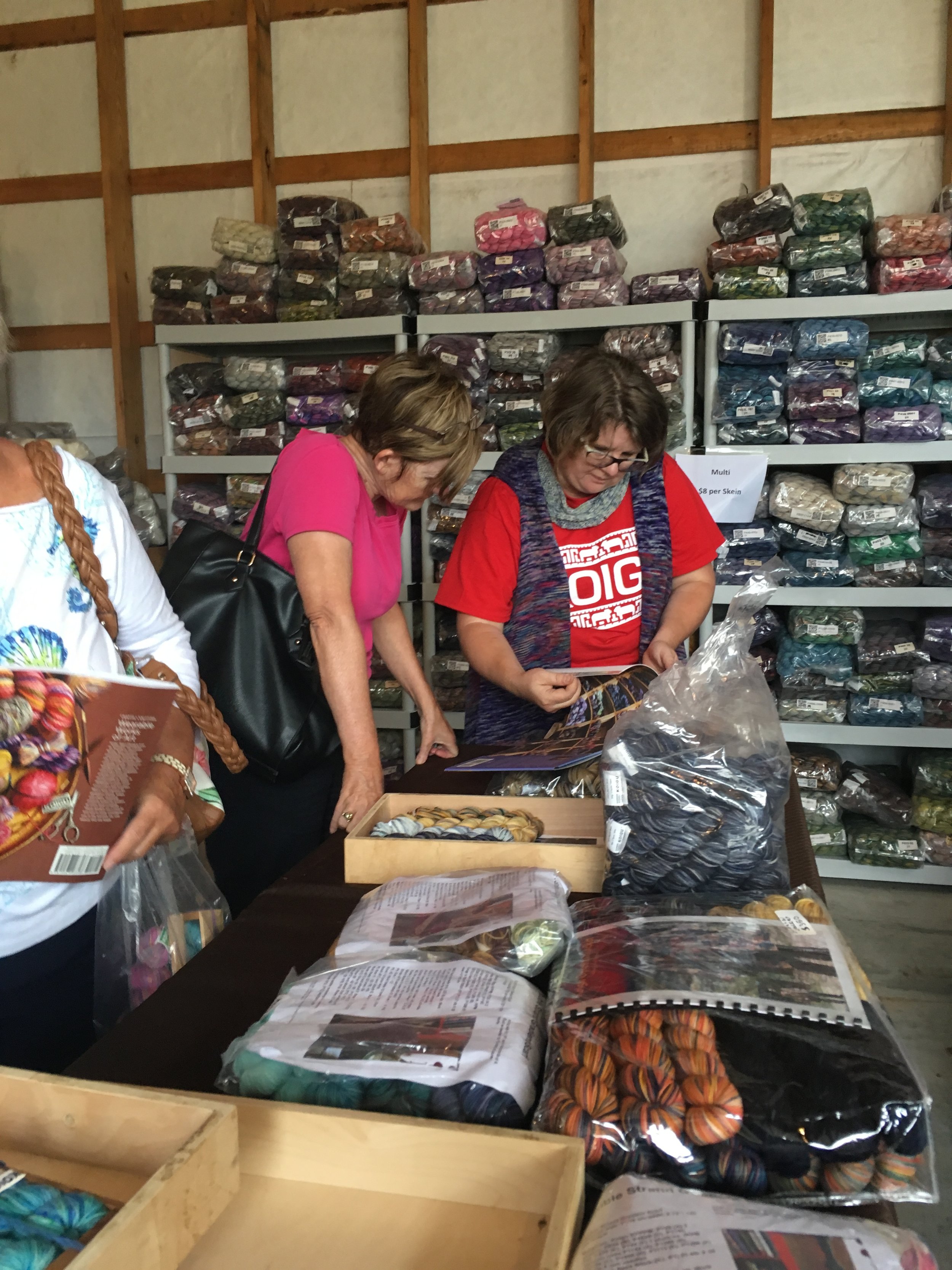 Online Tent Sale — Koigu