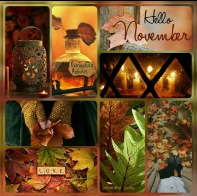 Novemberoverview.jpg