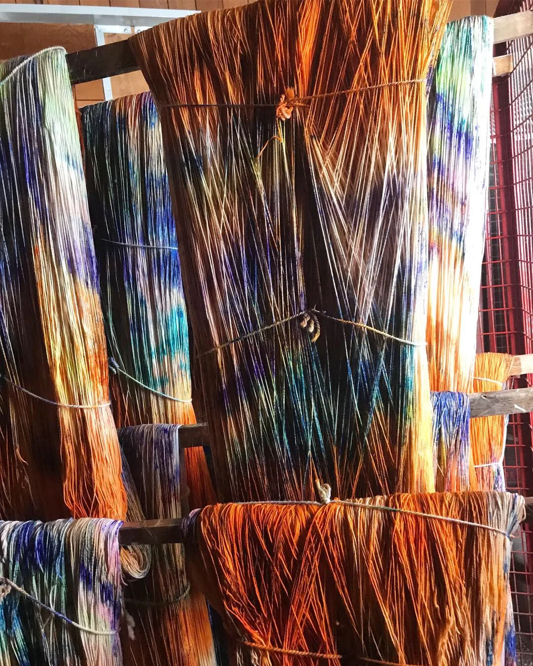 Koigu Collectors Club - Ocean
