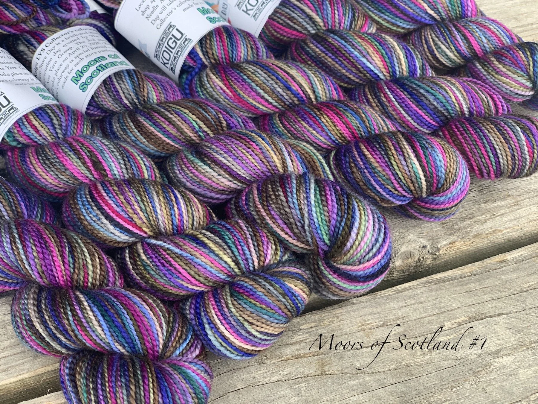 Travel with Koigu: Part 3
