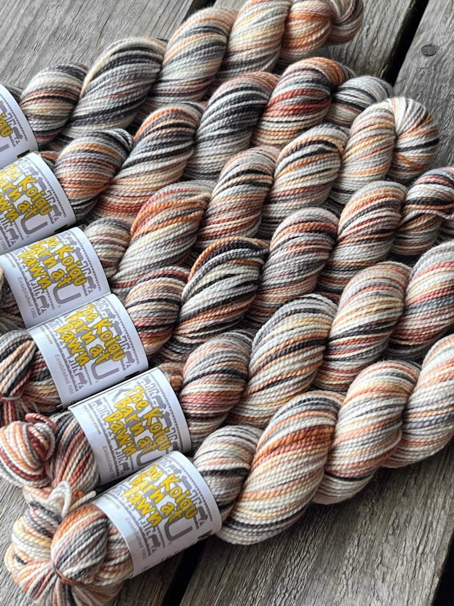 Koigu Collector: February