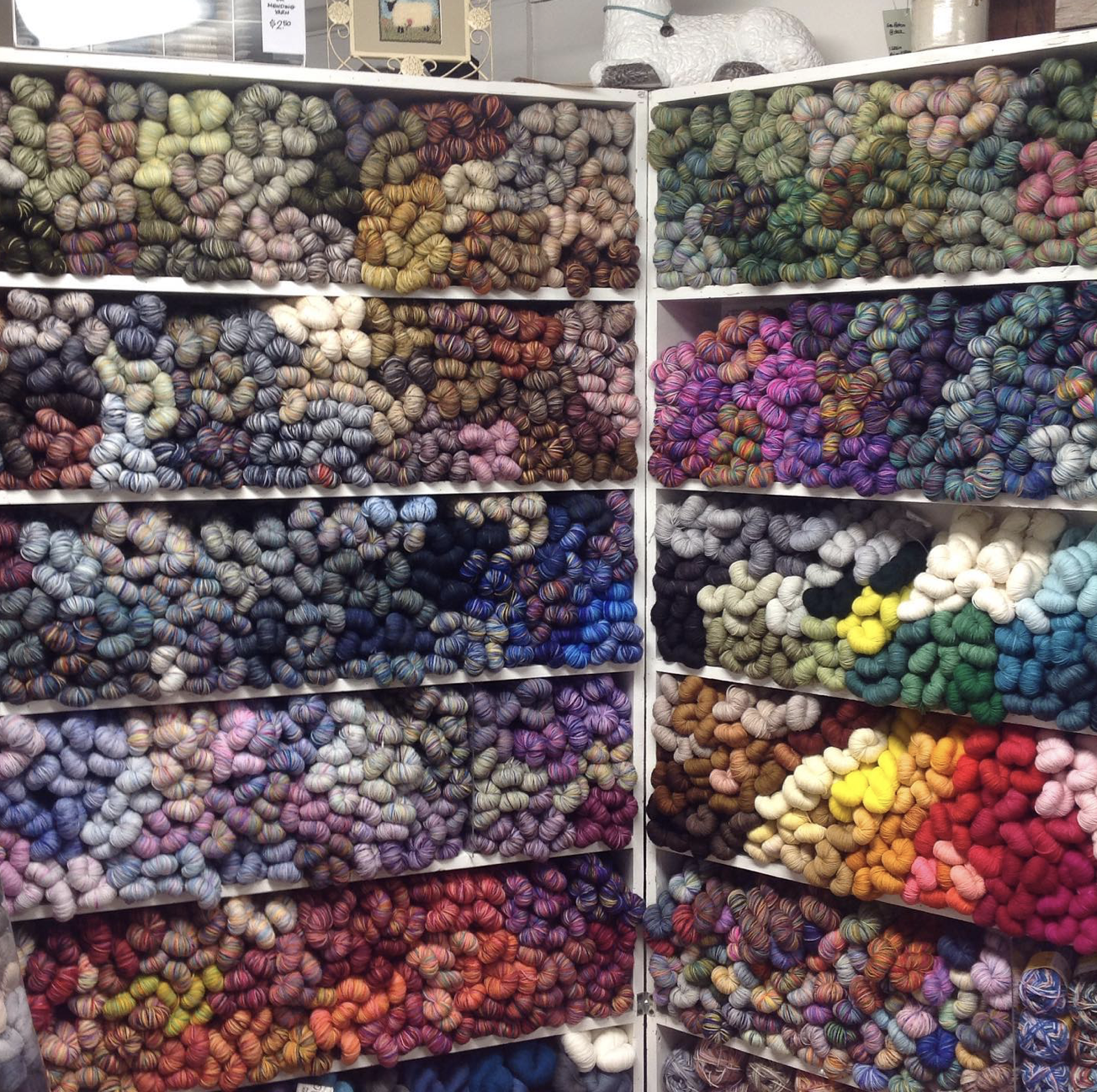 Marji's Yarn Crafts - LYS Koigu Story Series