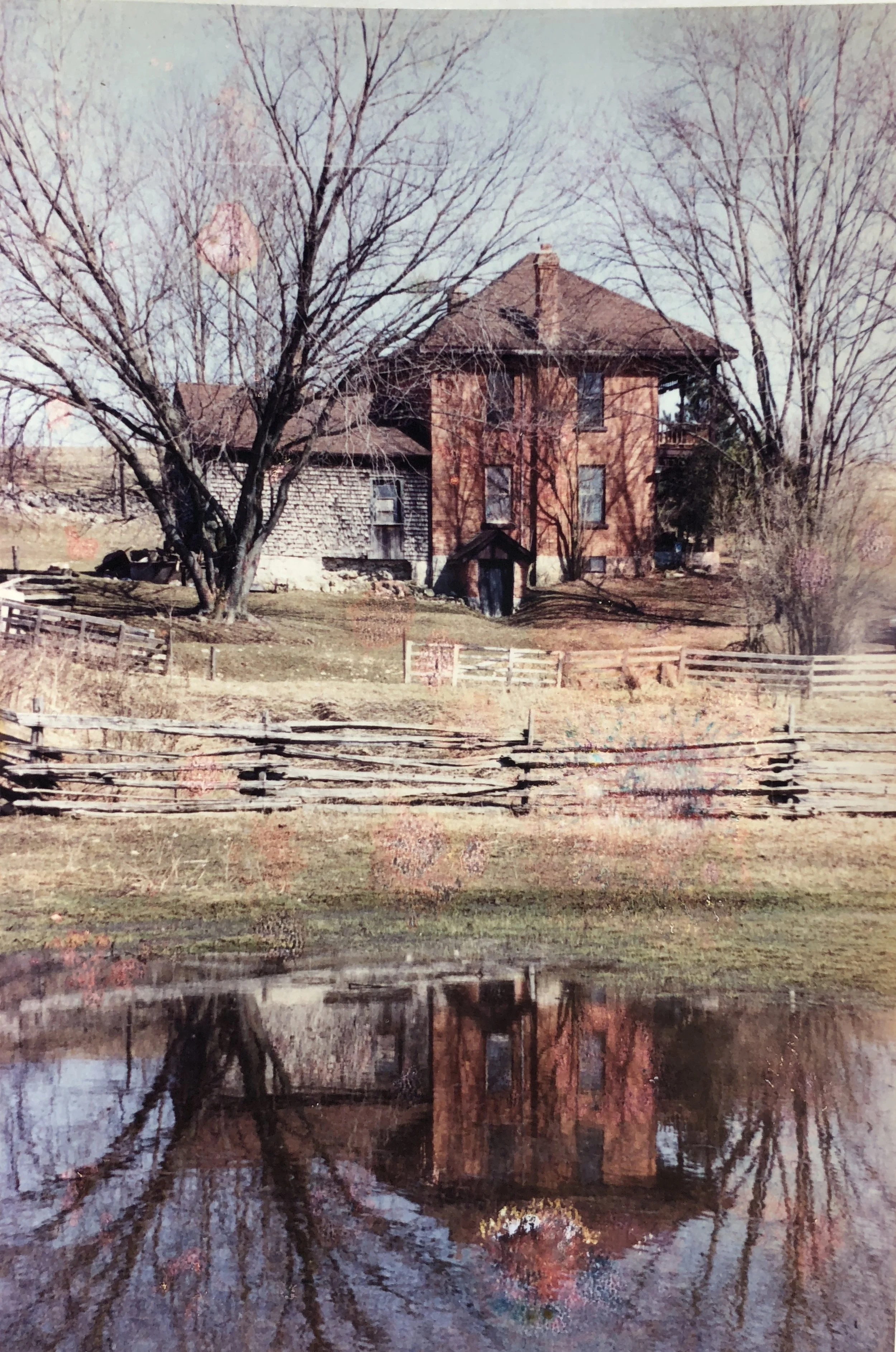 Red Brick House - Koigu Collector Colour