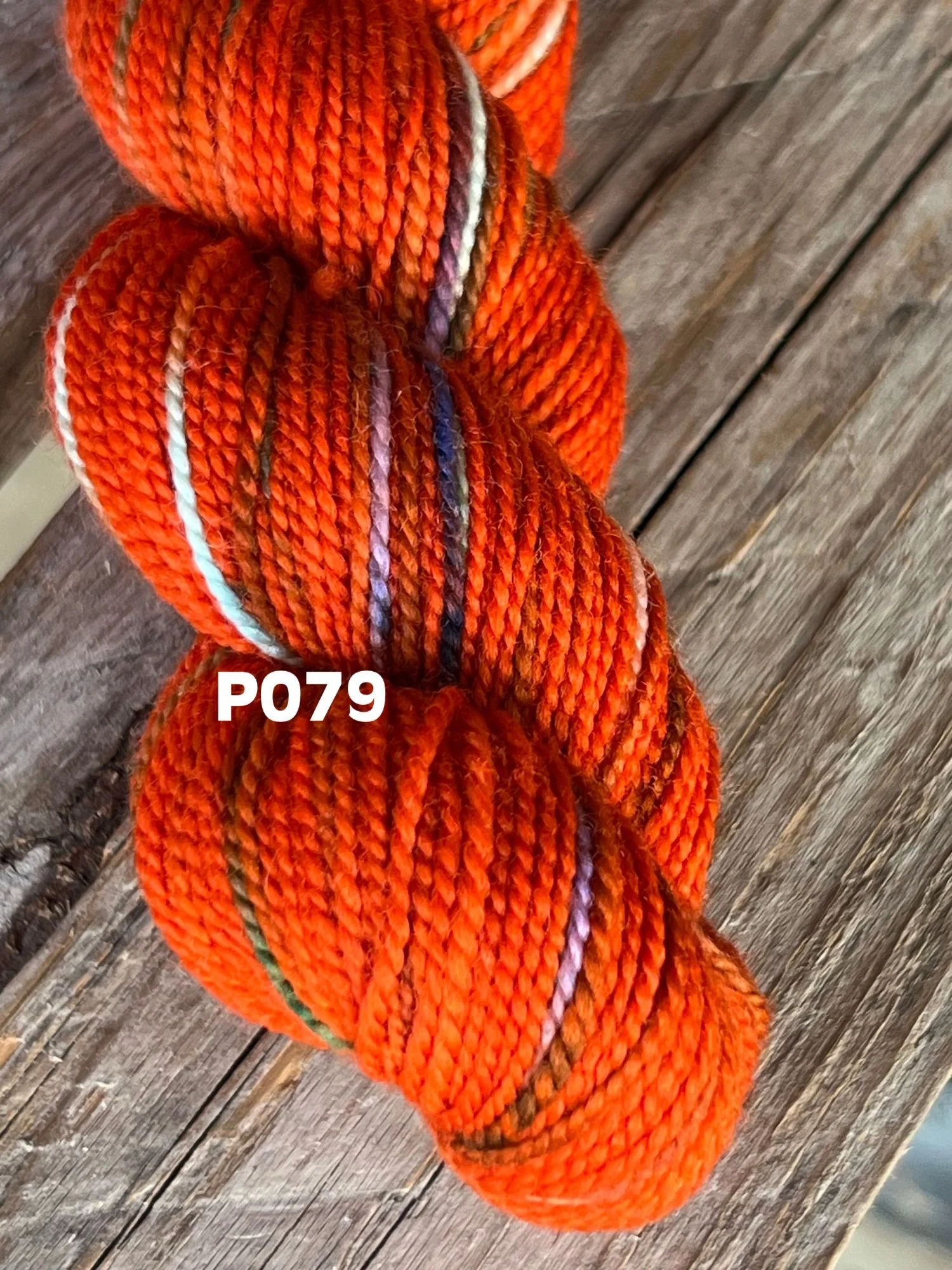 P079 KPPPM P079 .jpg