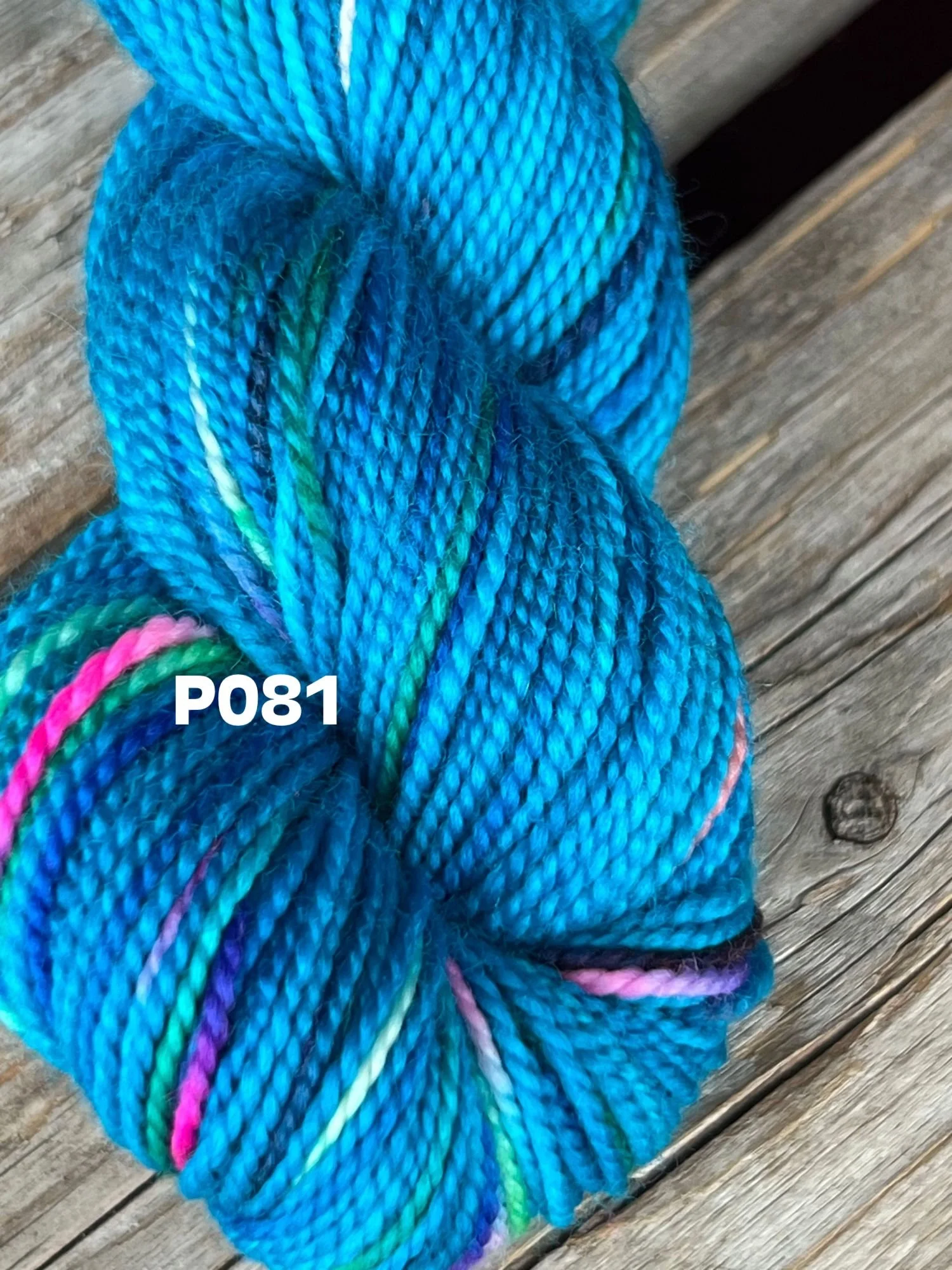 P081 KPPPM P081 .jpg