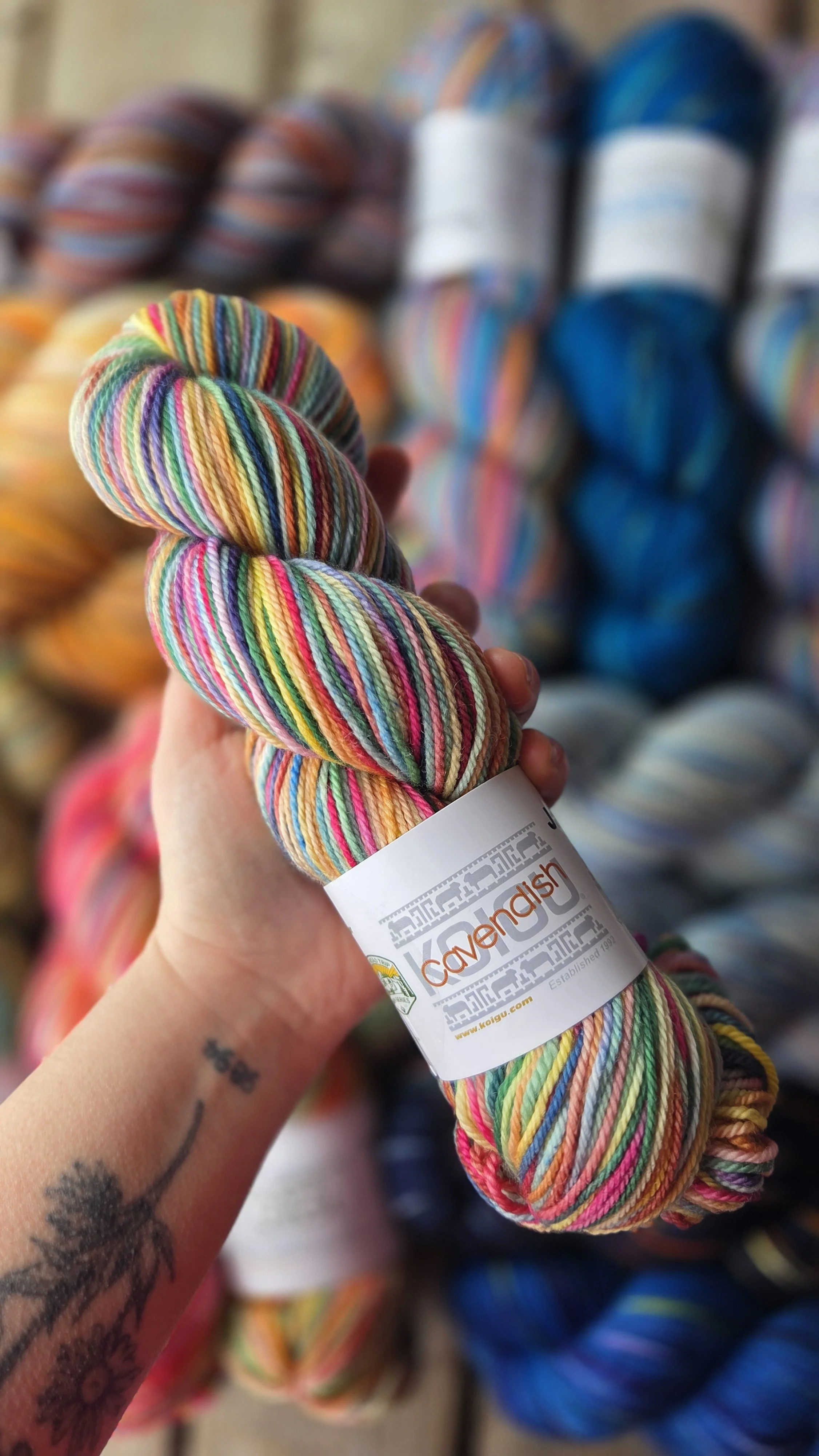 Cavendish - Roadtrip jasmine.jpg