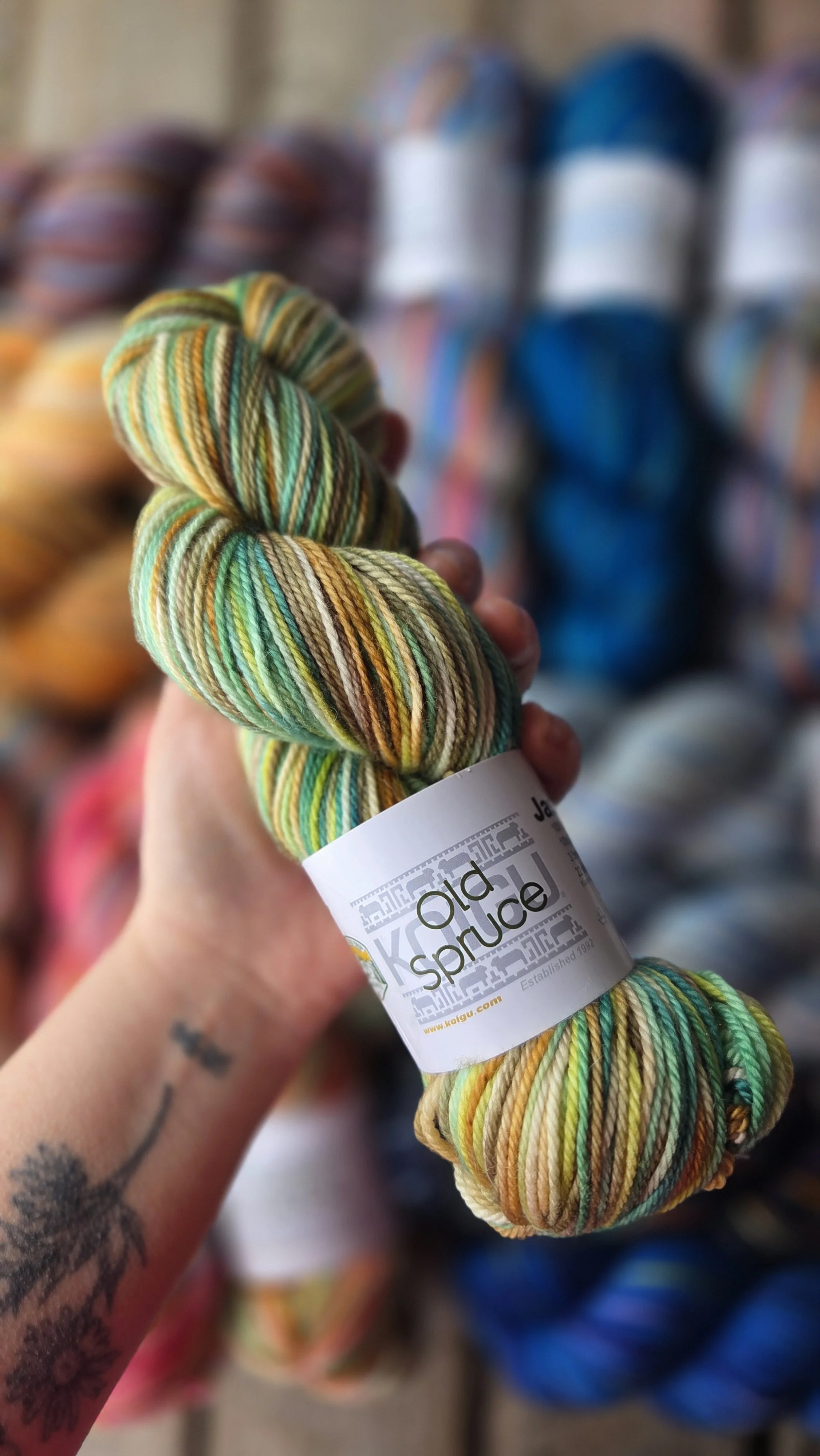 Old Spruce - Roadtrip jasmine.jpg