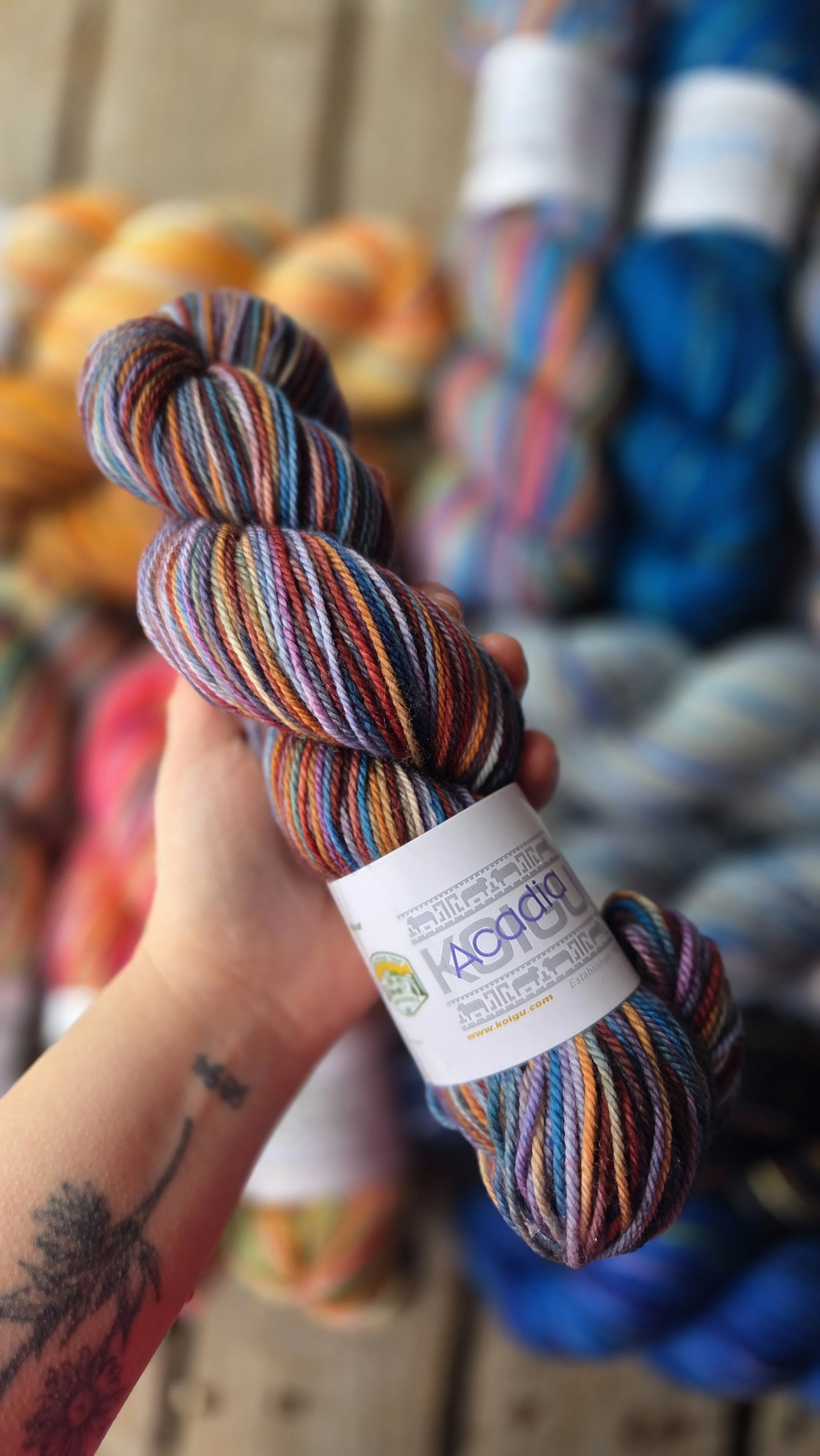 Acadia - Roadtrip jasmine.jpg