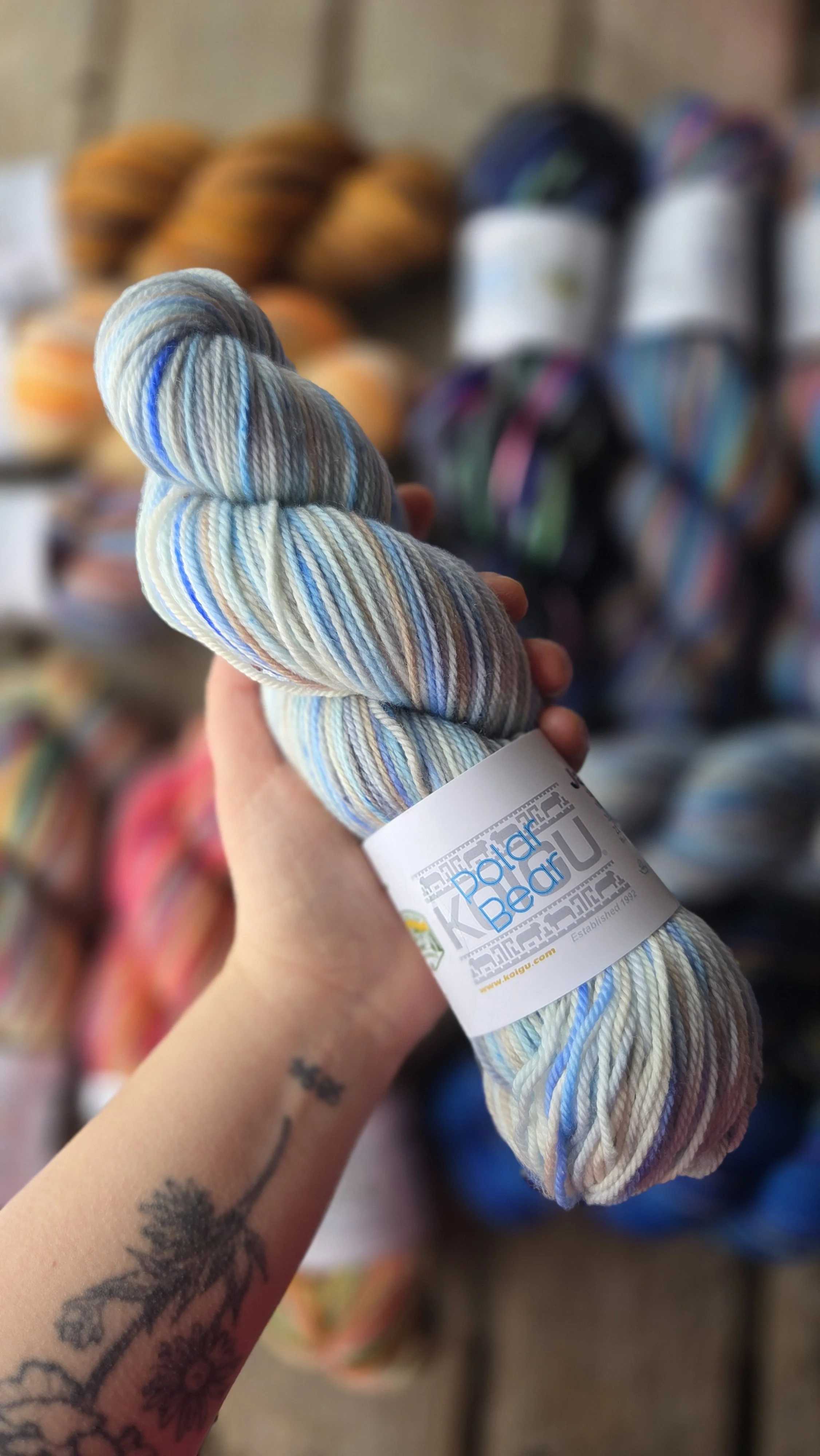 Polar Bear - Roadtrip Jasmine.jpg