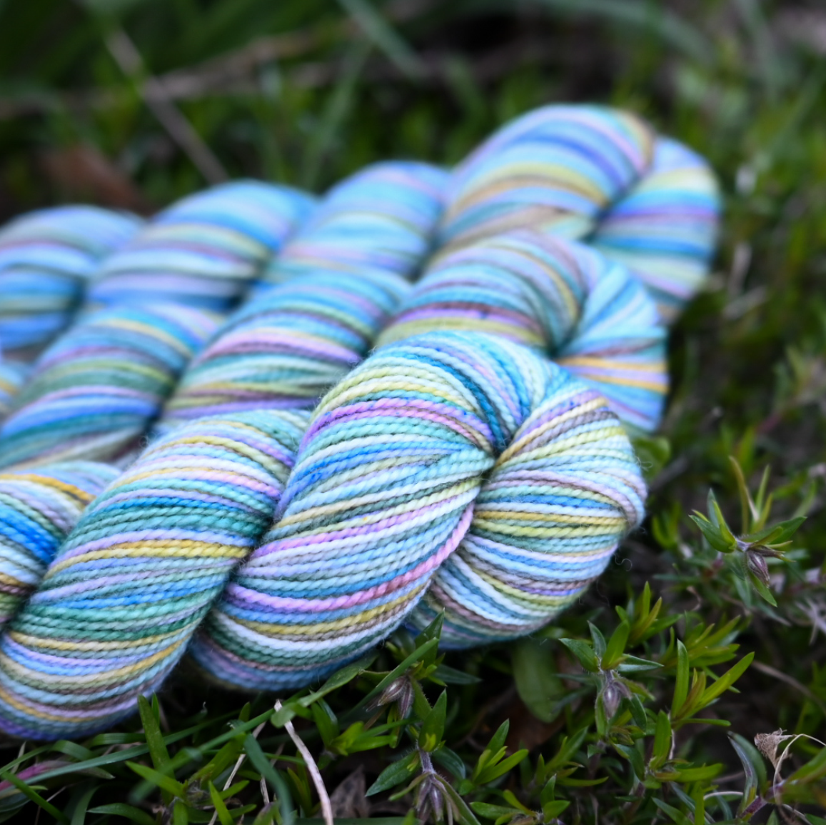 Spring Cleaning - Collector Colour