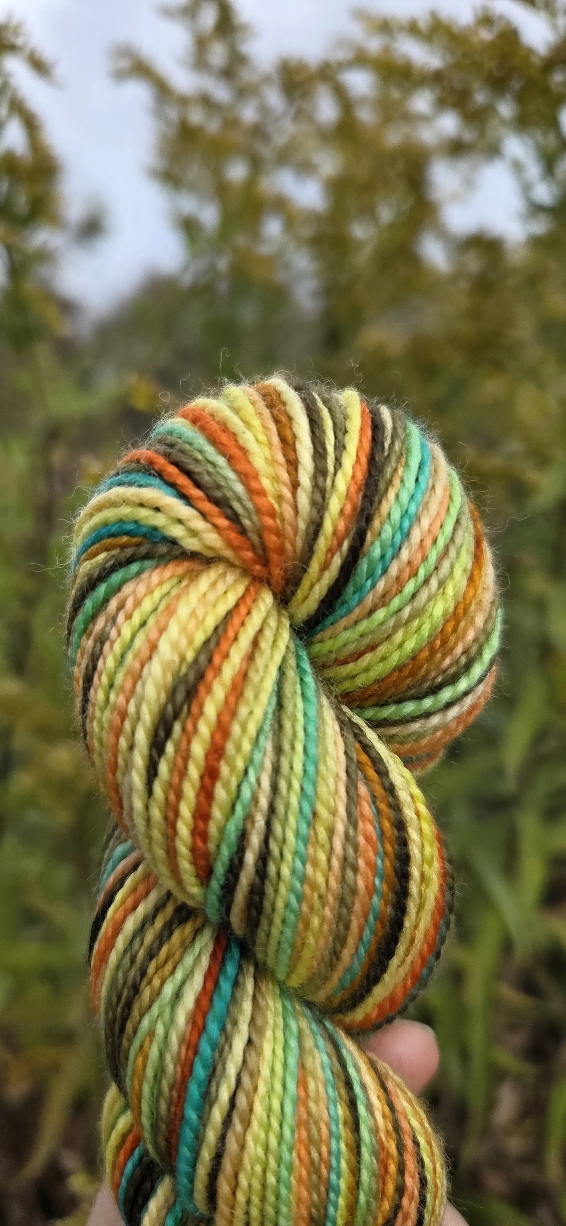 Biergarten - Collector Colour