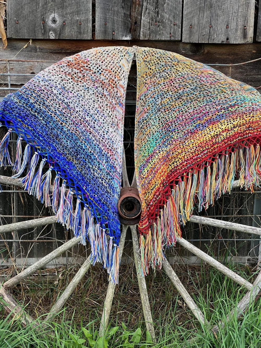 koigu charlotte's web shawl