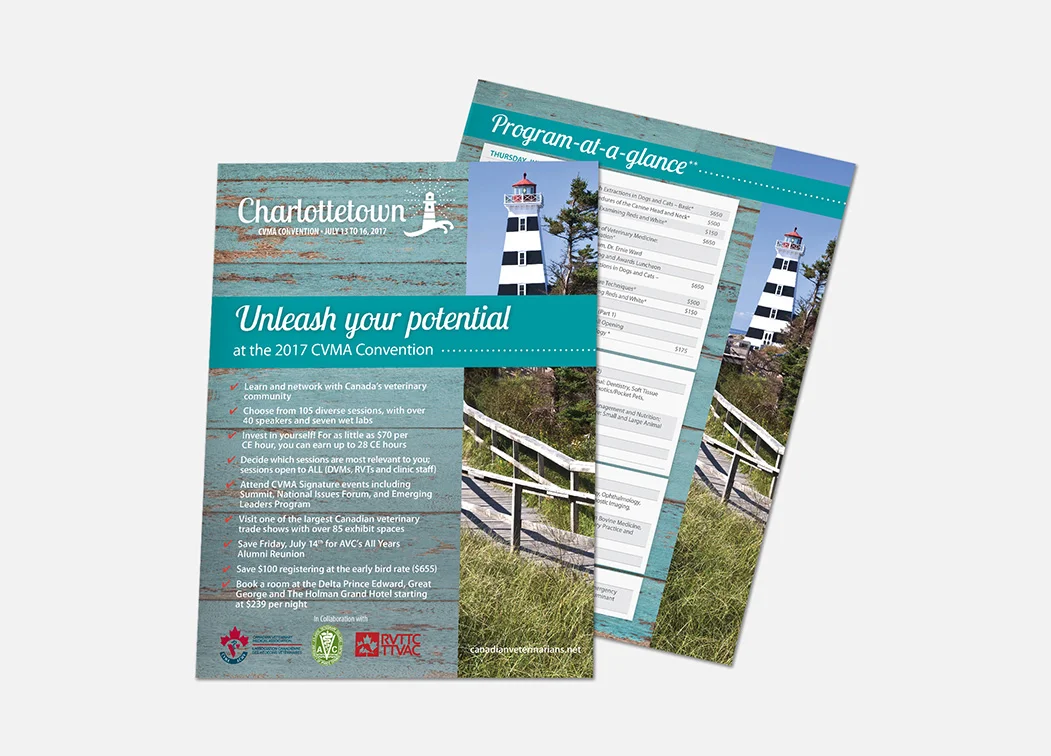 Flyer 2 – CVMA.jpg