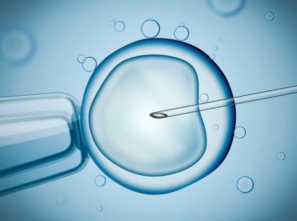 IVF: Introduction
