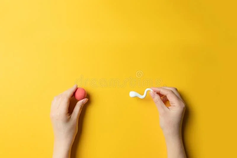 IVF: The Answer