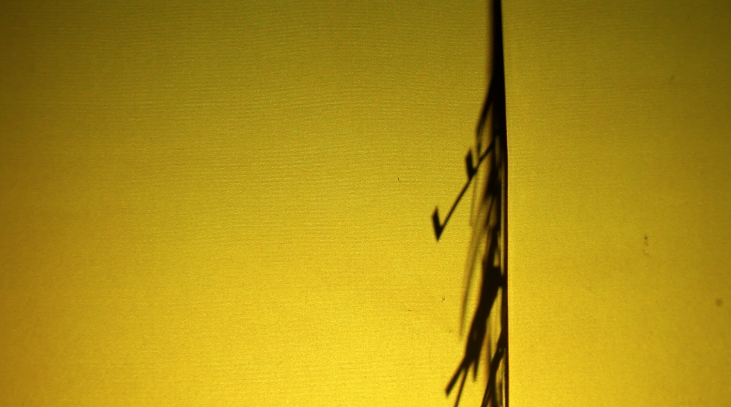 Screen shot 2012-09-18 at 10.39.01 AM.png