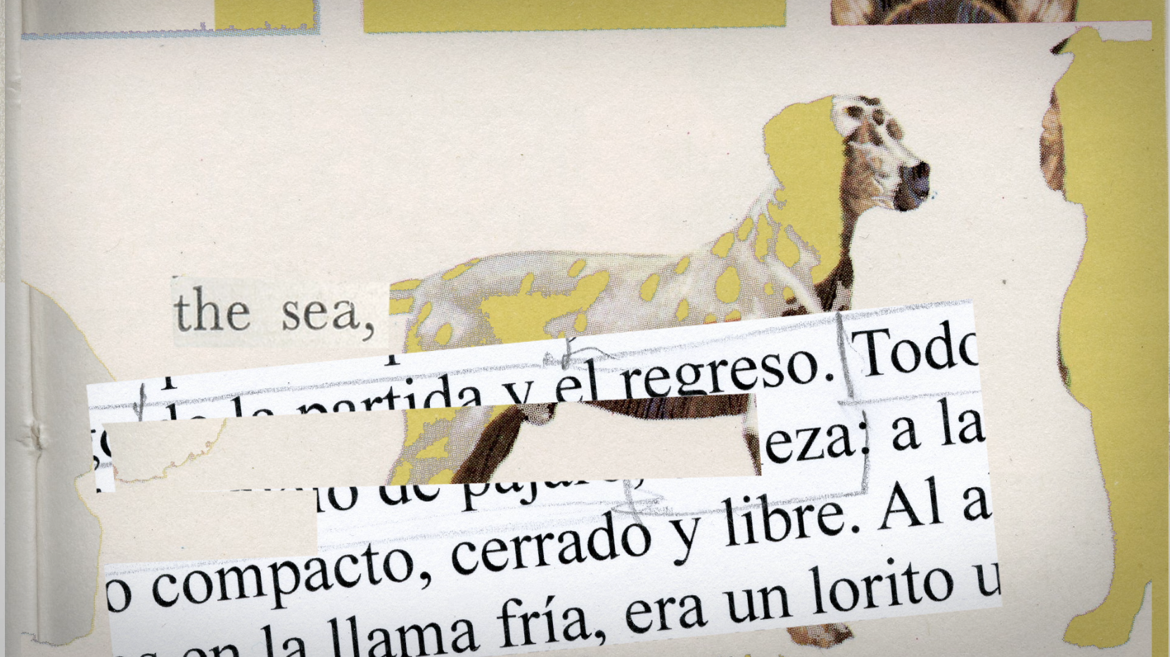 Screen Shot 2017-06-01 at 17.19.02.png