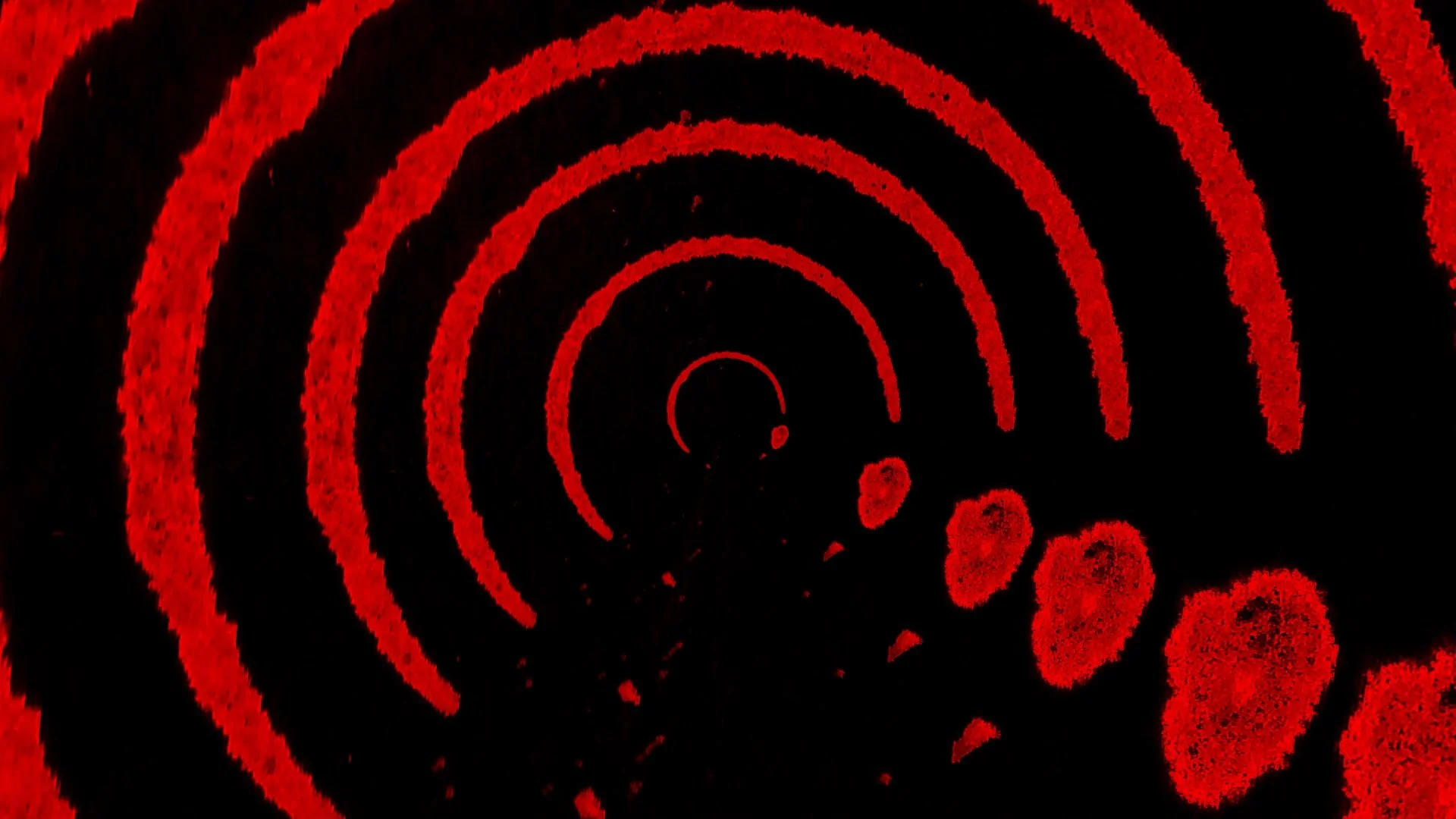 Angels_Sonido Grafico_Eaea_03066.jpg