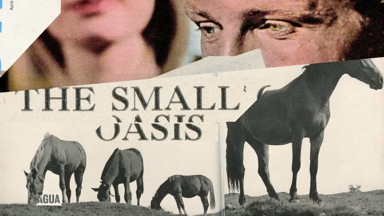 Screen Shot 2017-05-19 at 17.51.04.png