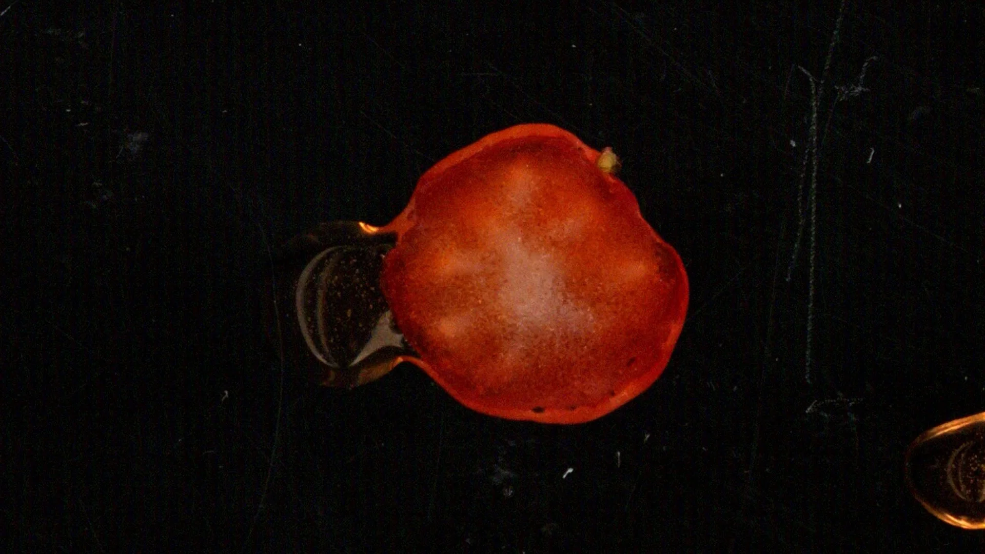 dedoCiego-sisomo25-armandoAlcala-0 (0-00-08-03).jpg