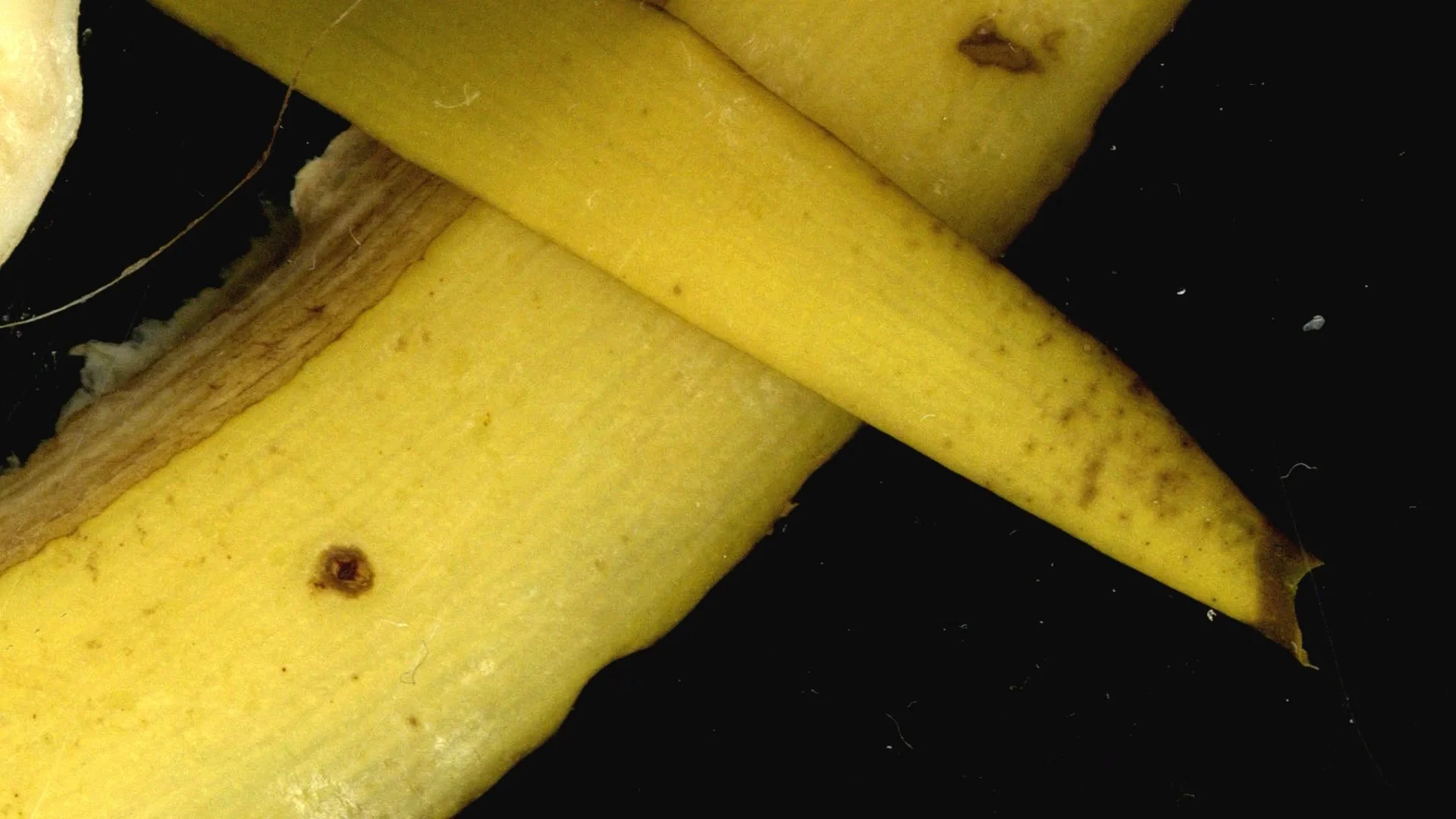 dedoCiego-sisomo25-armandoAlcala-0 (0-00-17-15).jpg