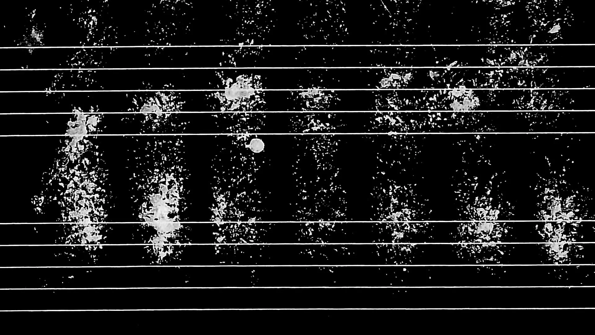 A Puro Peluche Edit1 1920x1080_00023.jpg