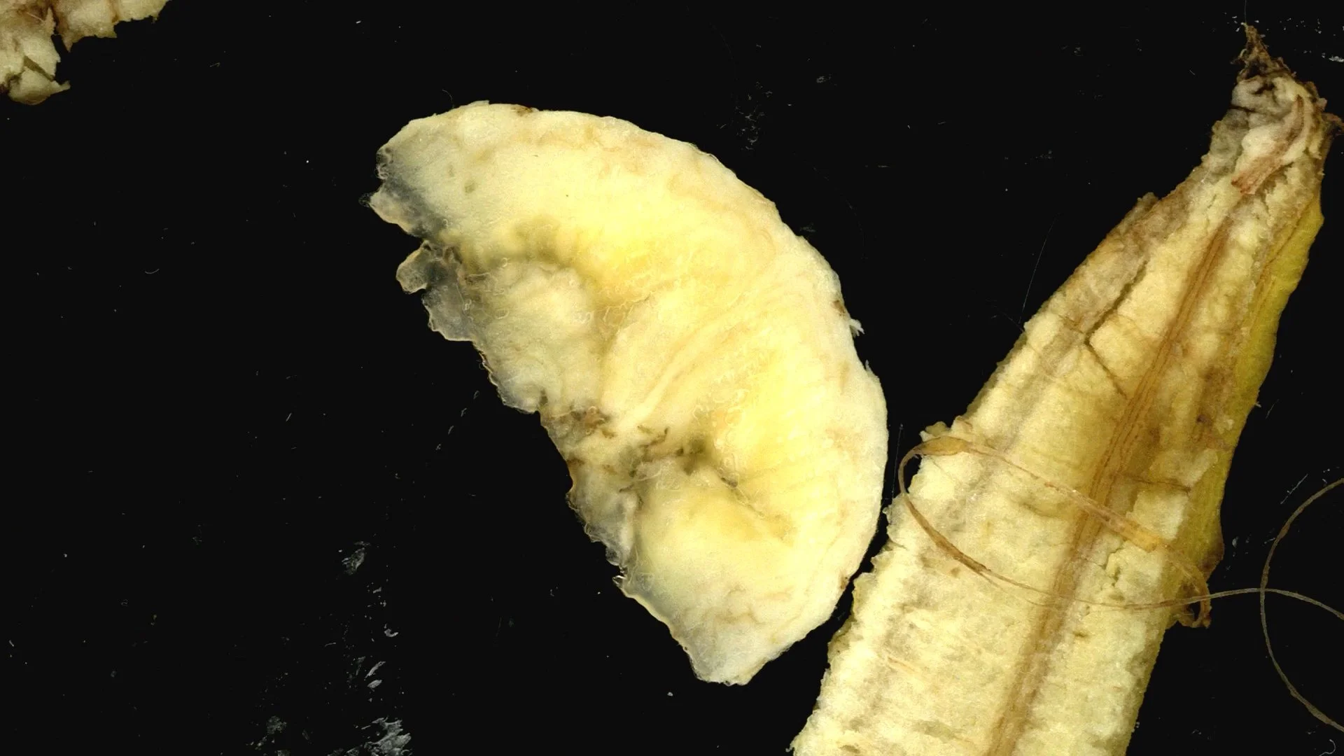 dedoCiego-sisomo25-armandoAlcala-0 (0-00-16-18).jpg