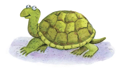 Journalturtle_mini.jpg