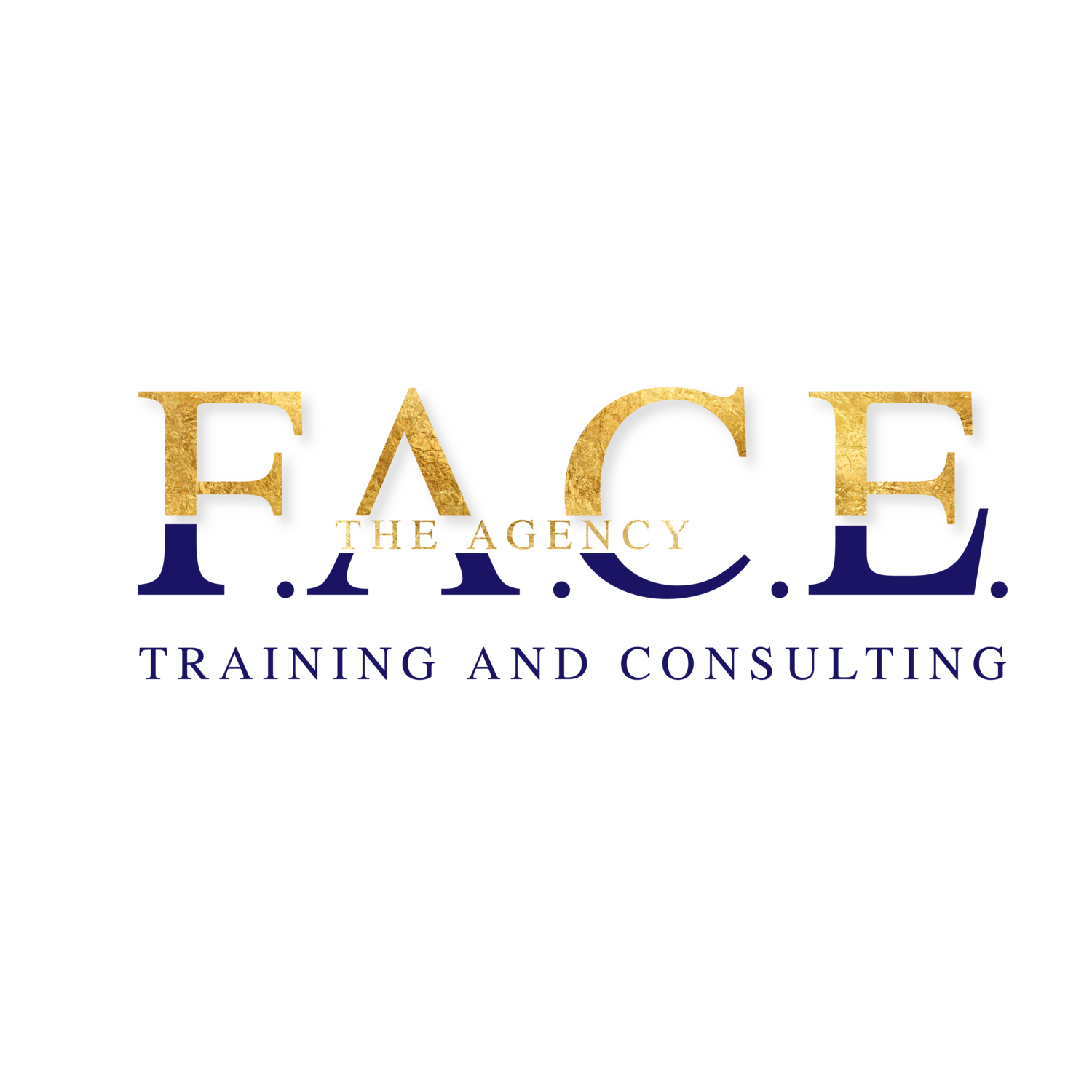 F.A.C.E. The Agency
