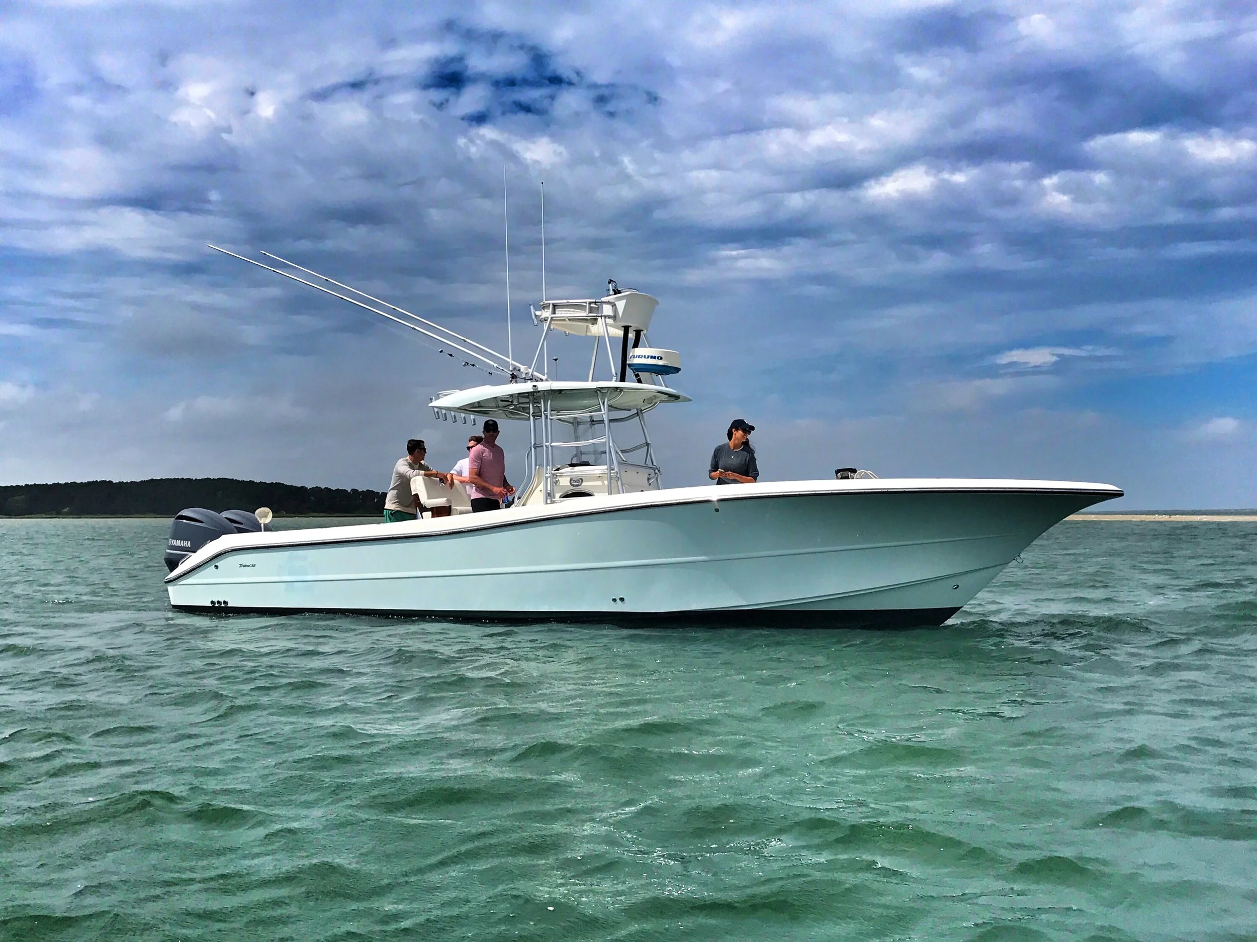 Whale watches. Shark tours. Fishing charters. experience cape cod by boat Book Your Trip