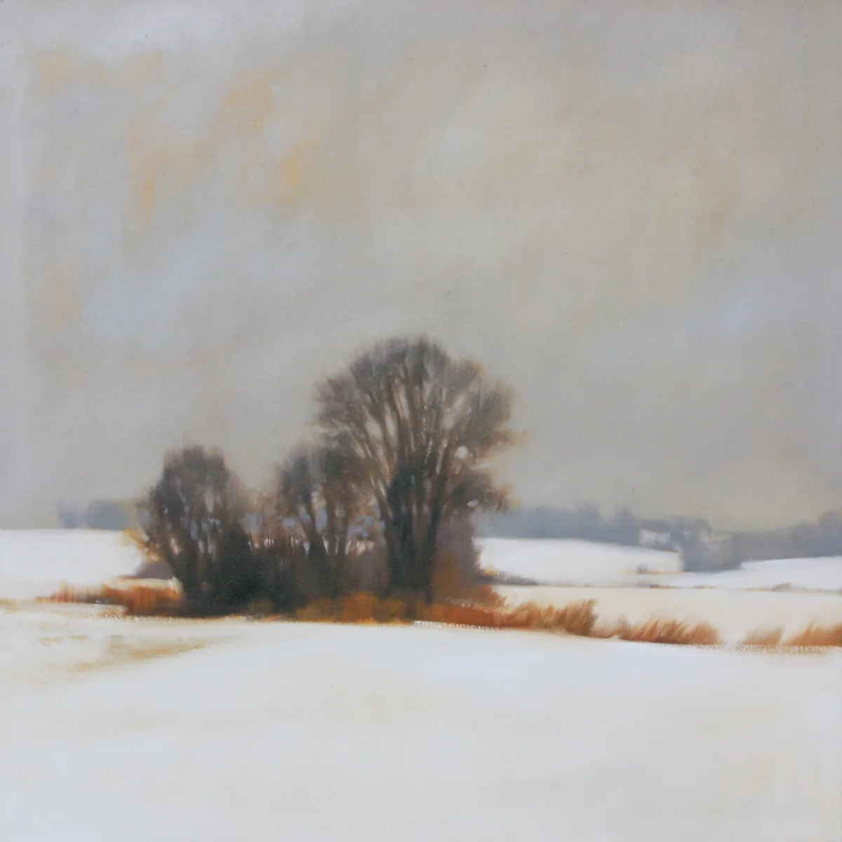 Winter Field, 30x30 inches