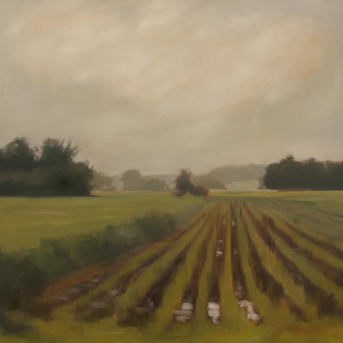 Fields After Rain, 30x30 inches