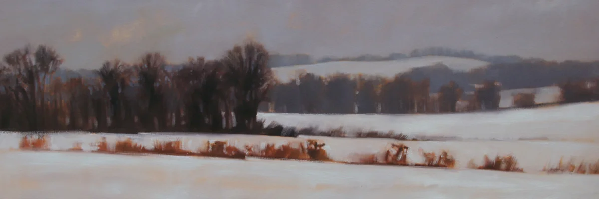 Distant Snowfall, 20x60 inches