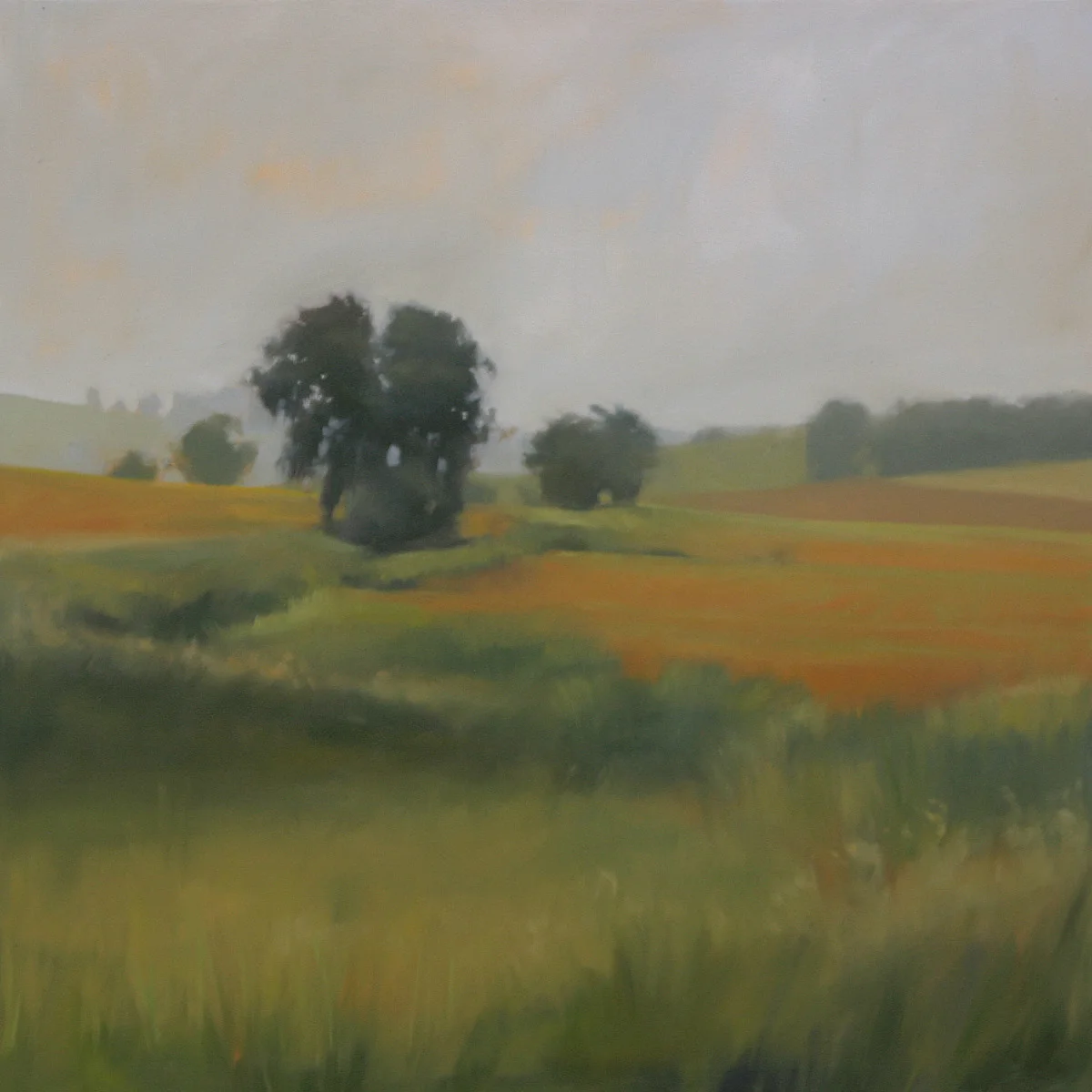 Home Fields, 36x36 inches