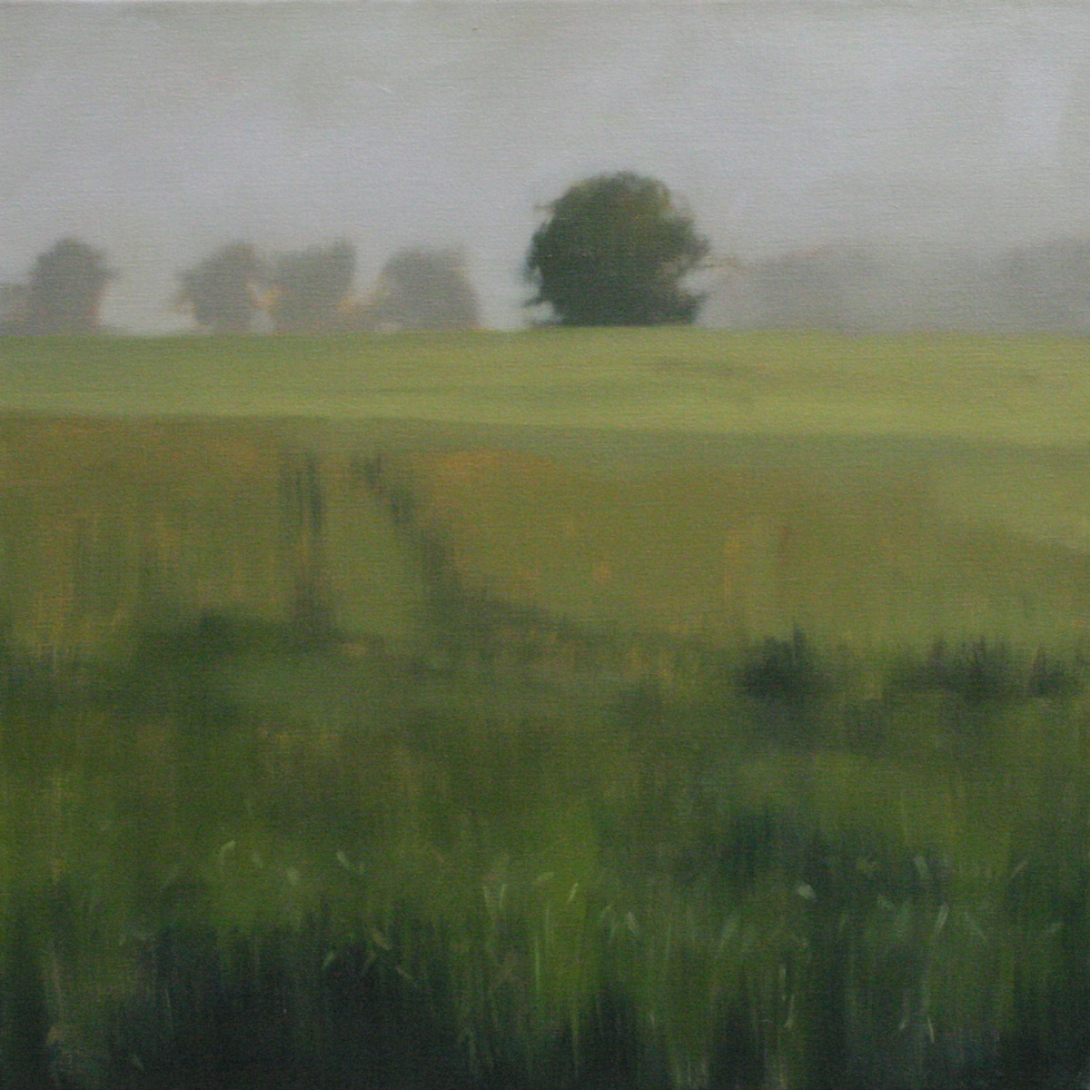Verdant, 20x20 inches