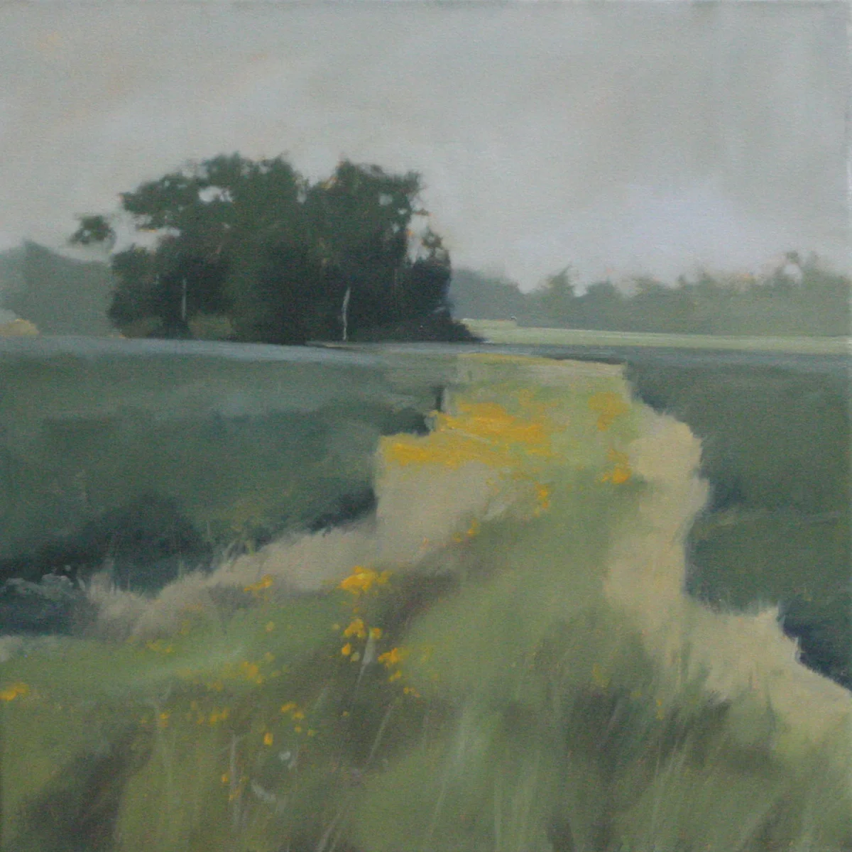 Path to Seclusion (study), 20x20 inches