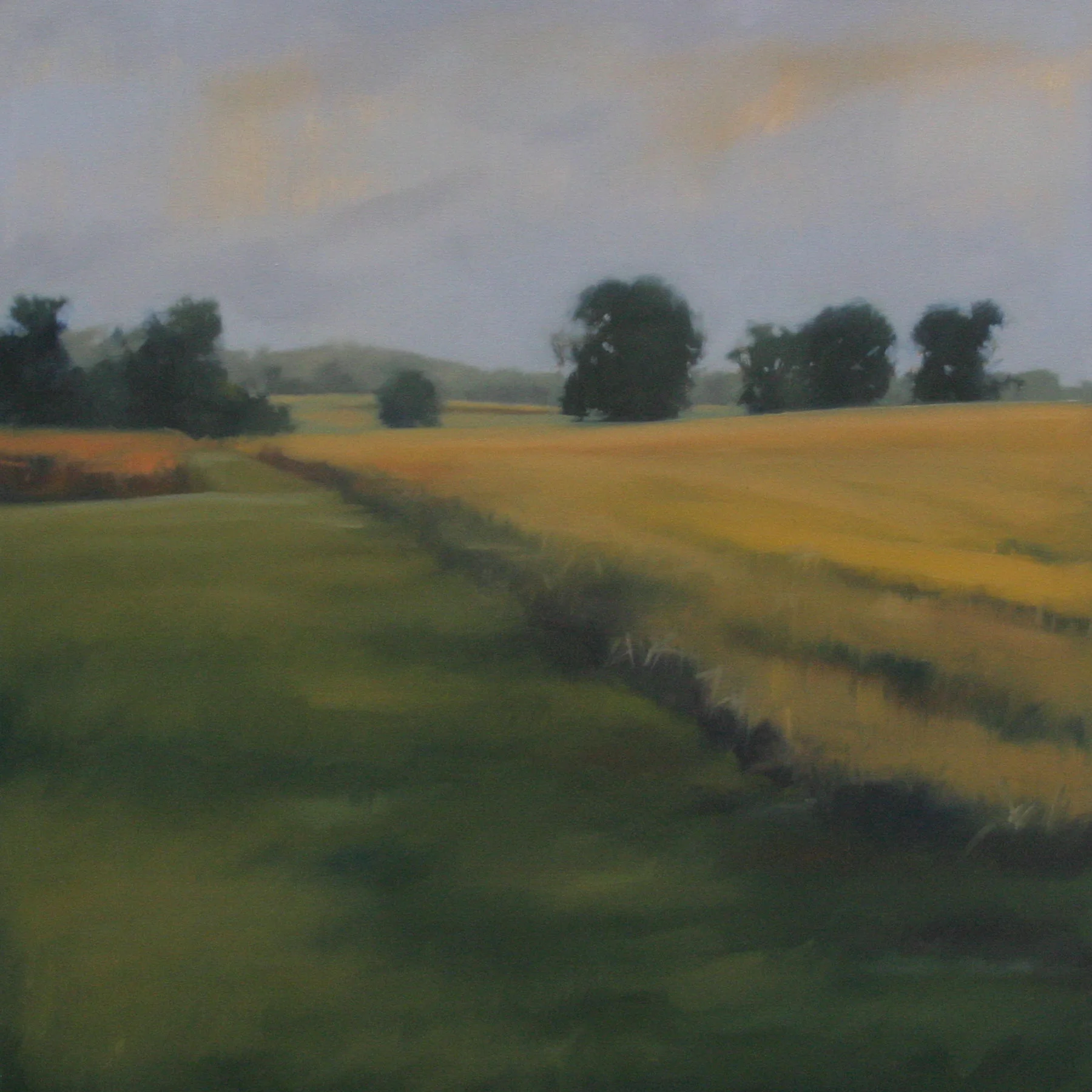 Quiet Summer, 36x36 inches