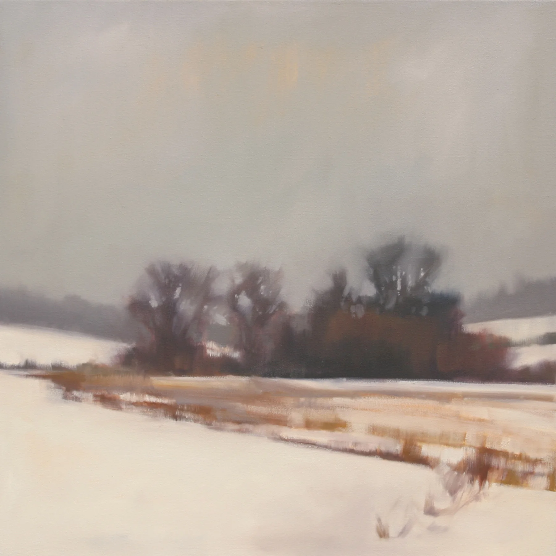 Cold Fields, 30x30 inches