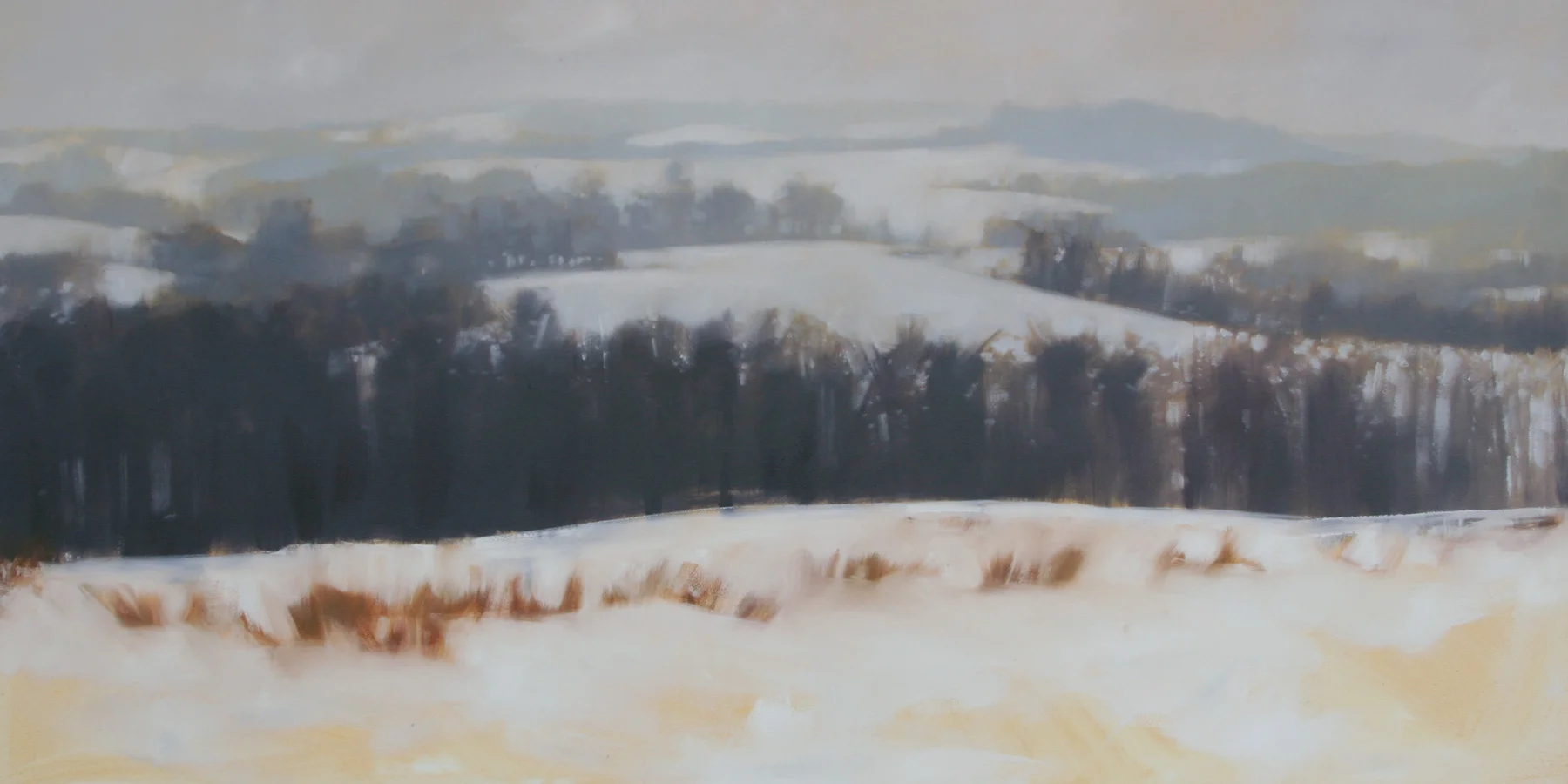 Winter Hills, 24x48 inches