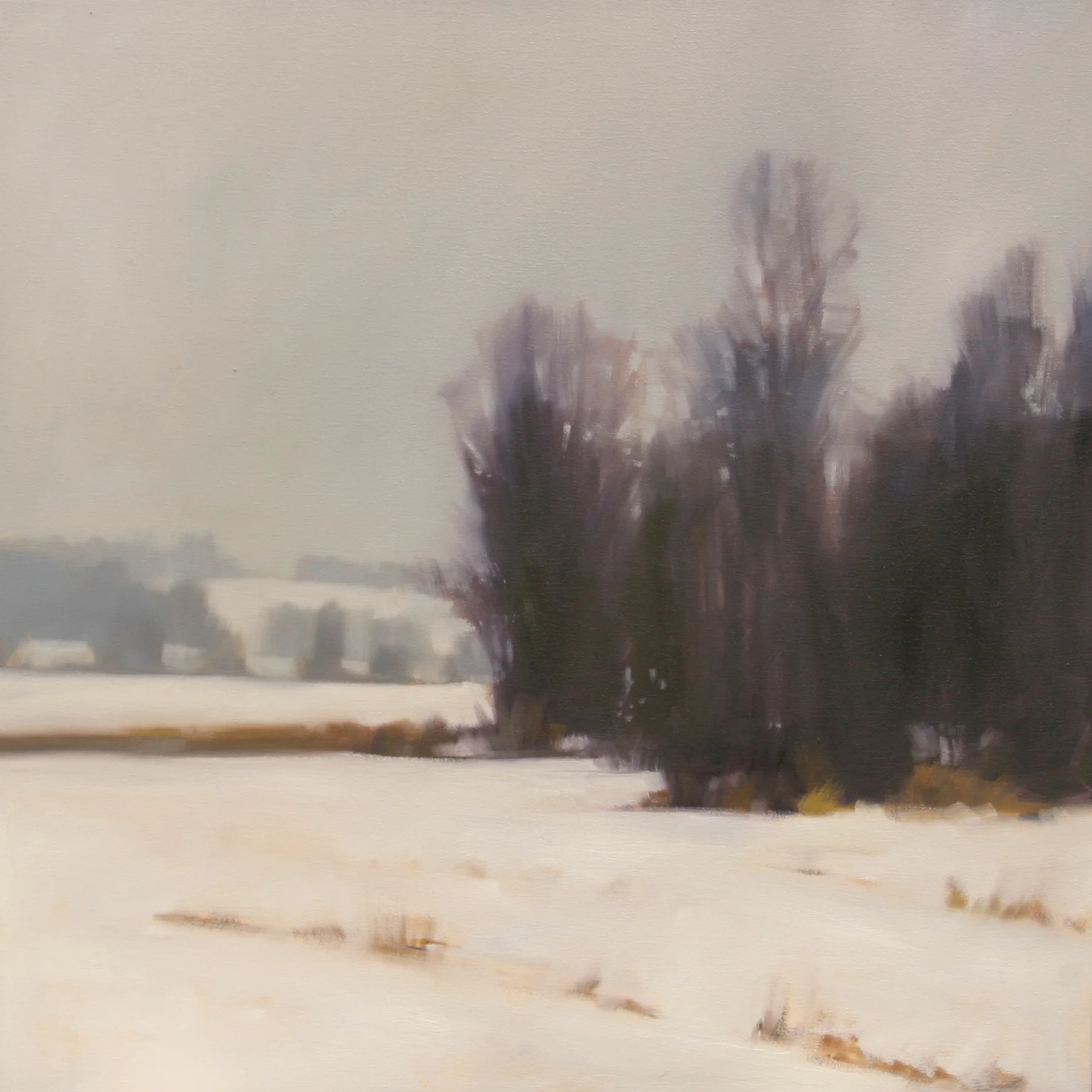Winter Grove, 30x30 inches