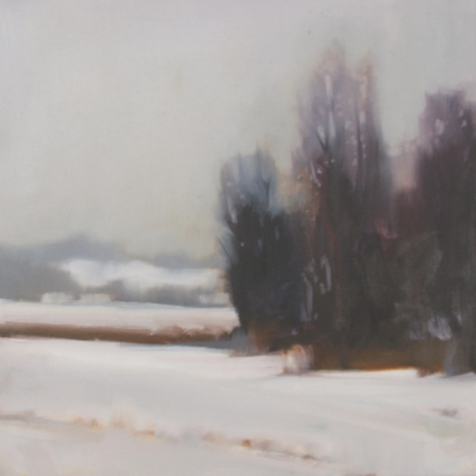 Winter Grove Study, oil on canvas, 12x12 inches
